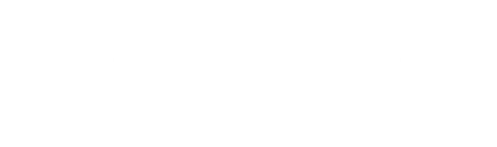 All devices are supported by Boss IPTV